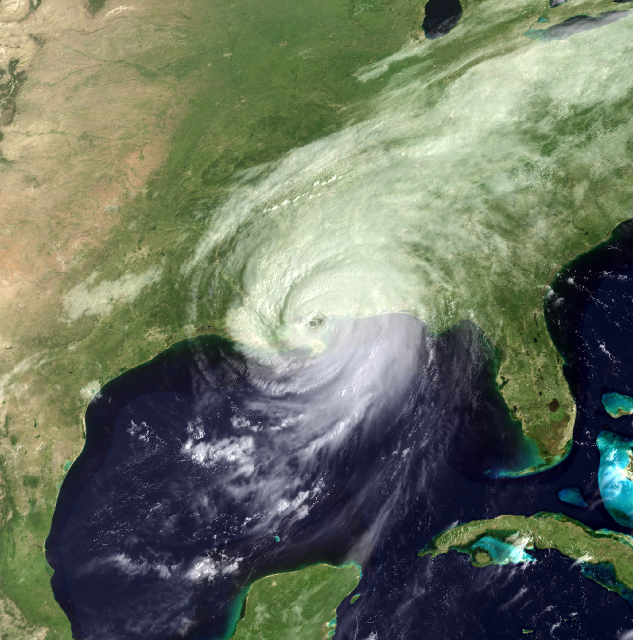 Hurricane Katrina, 2005, same year as TMV's inception